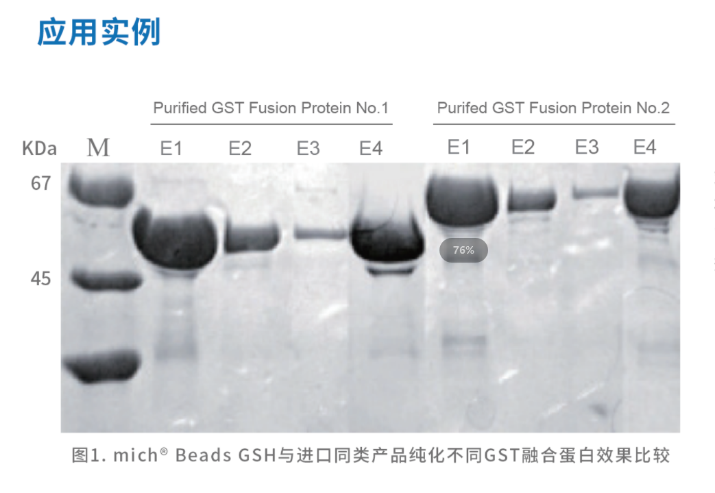 162453458204.png GST應(yīng)用實(shí)例.png