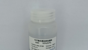 mich GST融合蛋白純化磁珠