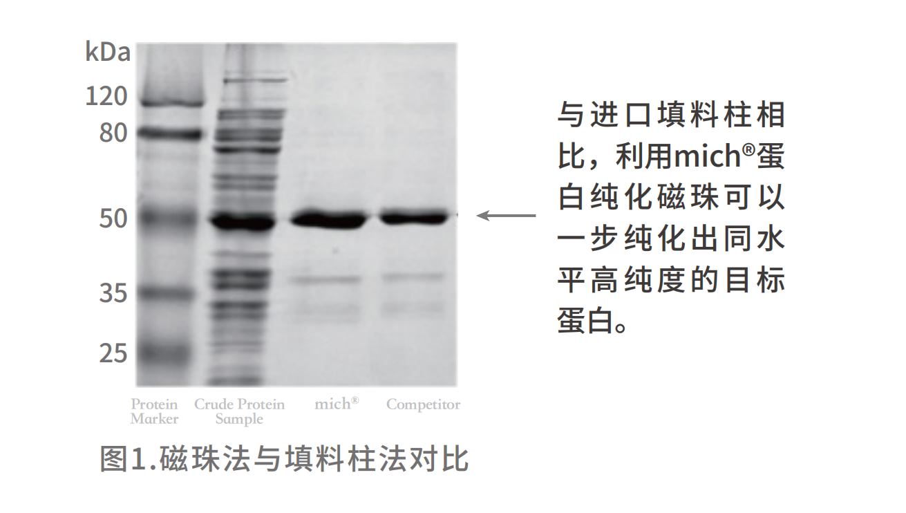 170458781572.png HIS實(shí)際操作.png